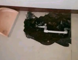 旅顺口卫生间测漏水多少钱